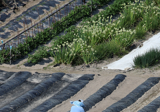 '비싼 비닐 덮었는데'