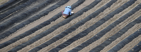 봄농사 준비하는 농민