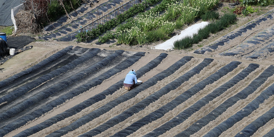 묵묵히 농사 준비하는 농민