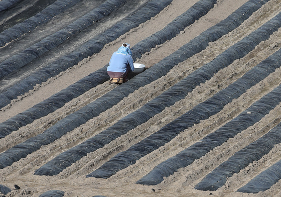 비닐값이 금값인데…