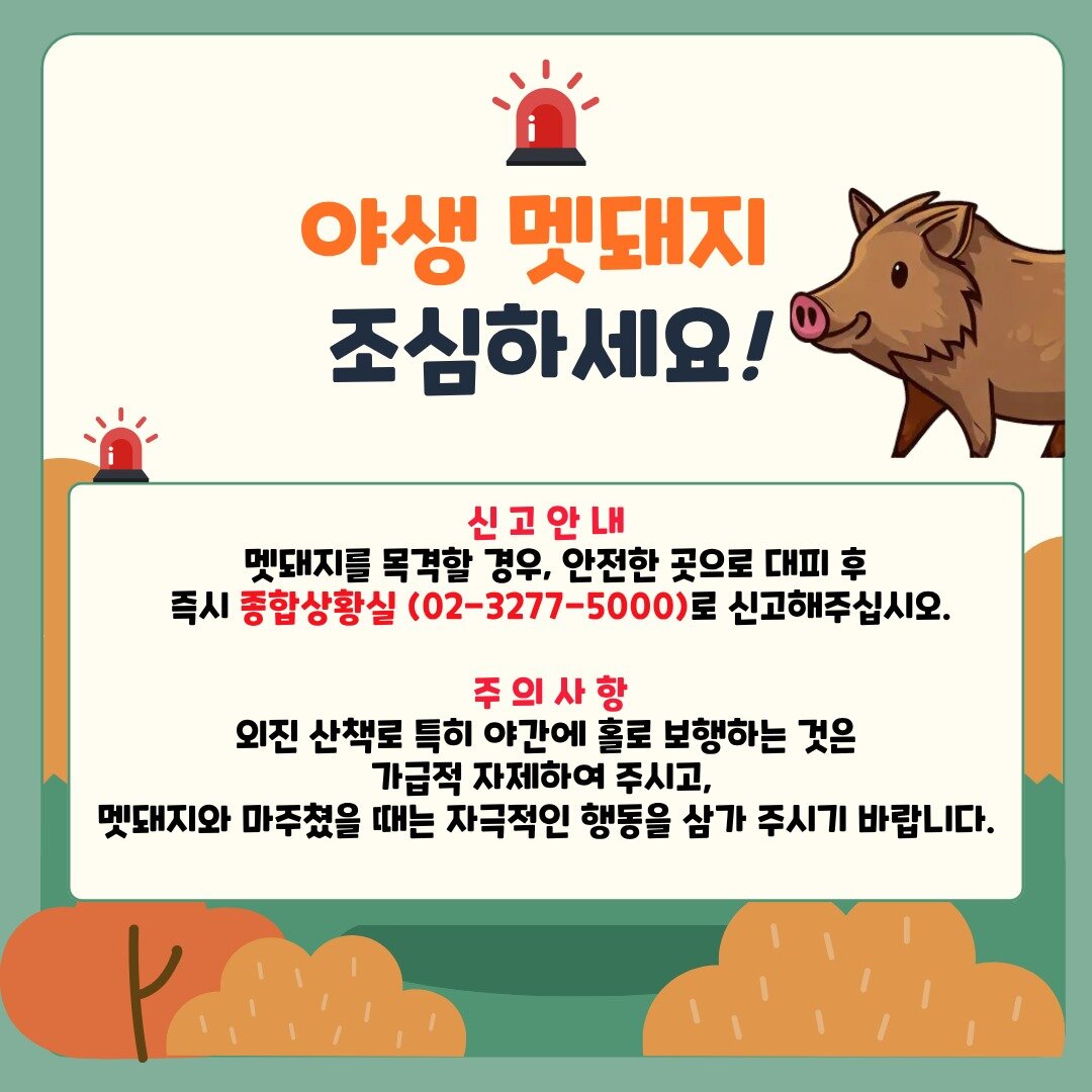 본문 이미지 - 이화여대 '교내 멧돼지 출몰 주의 안내' 공지 (이화여대 홈페이지 갈무리. 재판매 및 DB금지)