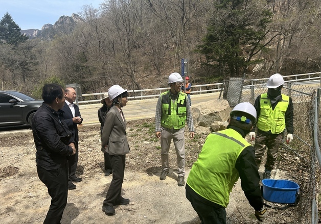 원주환경청장 "설악산 ASF 차단울타리 철거해도 상시 점검"