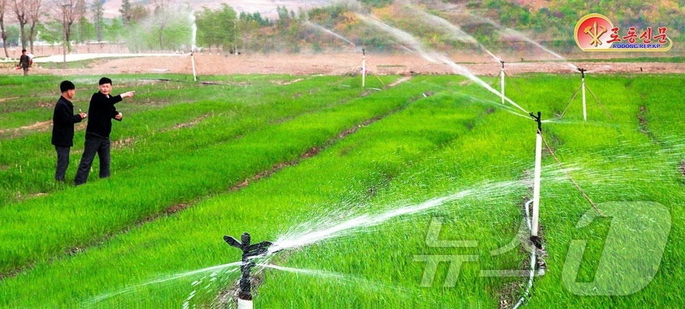 (평양 노동신문=뉴스1) = 북한 노동당 기관지 노동신문은 24일 "황해남도에서 시, 군들에 파견된 과학농사 추진 조성원들의 책임성과 역할을 높여 지속되는 가물(가뭄)에 적극적으로 …