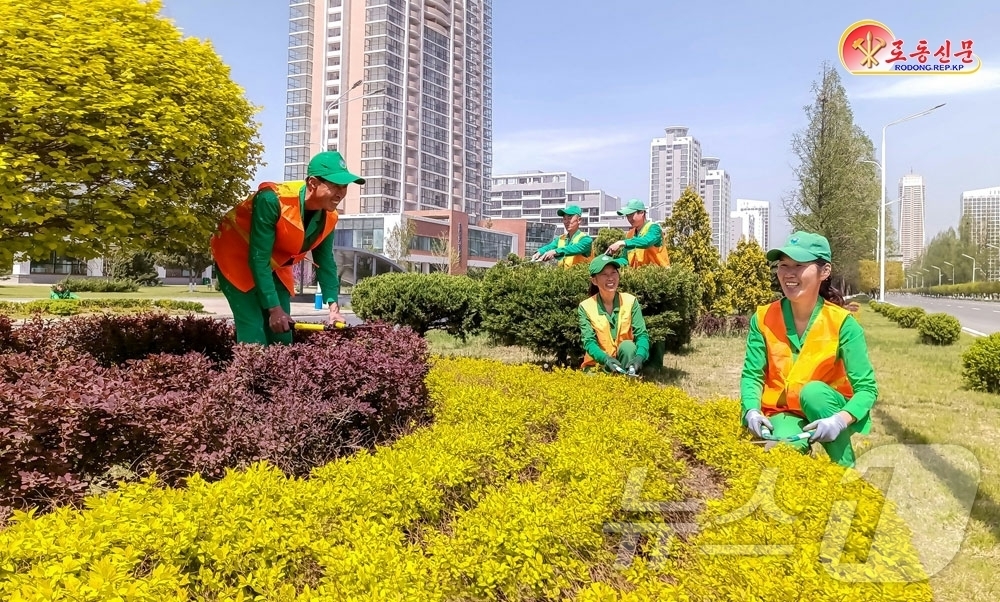 (평양 노동신문=뉴스1) = 북한 노동당 기관지 노동신문은 24일 "갖가지 수종의 나무들과 꽃관목, 화초들이 조화롭게 배치돼 있는 아름다운 거리들의 풍치는 사람들의 마음을 즐겁게 …