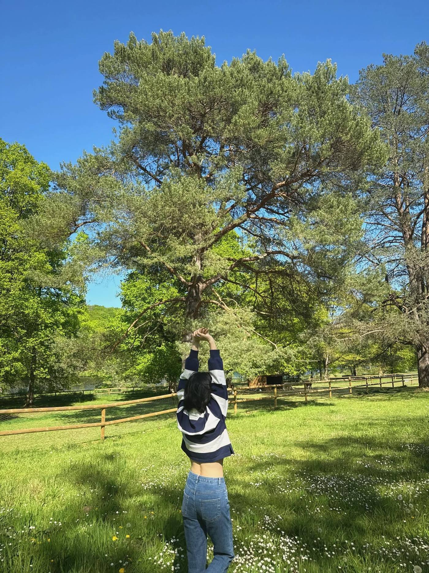 본문 이미지 - 사진=송혜교 인스타그램 갈무리