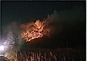 한밤 화성 송산면 야산서 화재…4시간 20여분 만에 진화