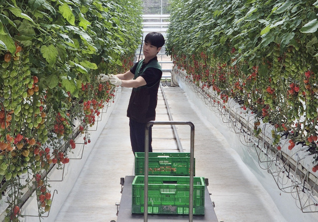 GS더프레시, 발달장애인 자립 지원 스마트팜 봉사