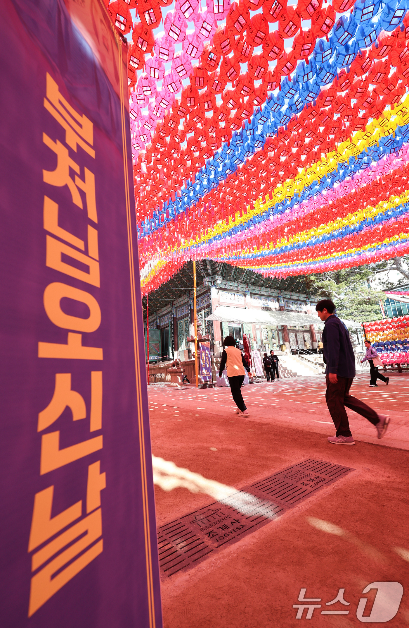 (서울=뉴스1) 임지훈 인턴기자 = 부처님 오신 날을 한달 앞둔 24일 서울 종로구 조계사에 연등이 설치돼 있다. 2026.4.24/뉴스1