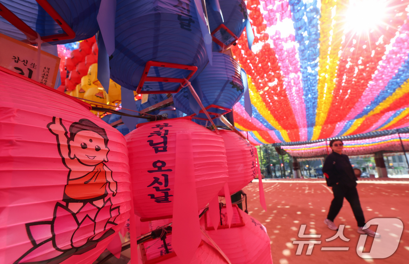 (서울=뉴스1) 임지훈 인턴기자 = 부처님 오신 날을 한달 앞둔 24일 서울 종로구 조계사에 연등이 설치돼 있다. 2026.4.24/뉴스1