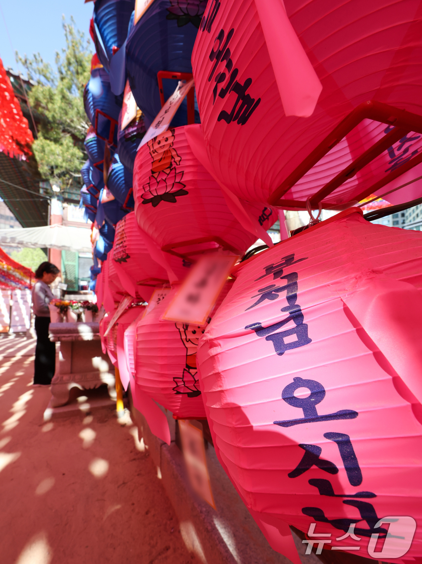 (서울=뉴스1) 임지훈 인턴기자 = 부처님 오신 날을 한달 앞둔 24일 서울 종로구 조계사에 연등이 설치돼 있다. 2026.4.24/뉴스1