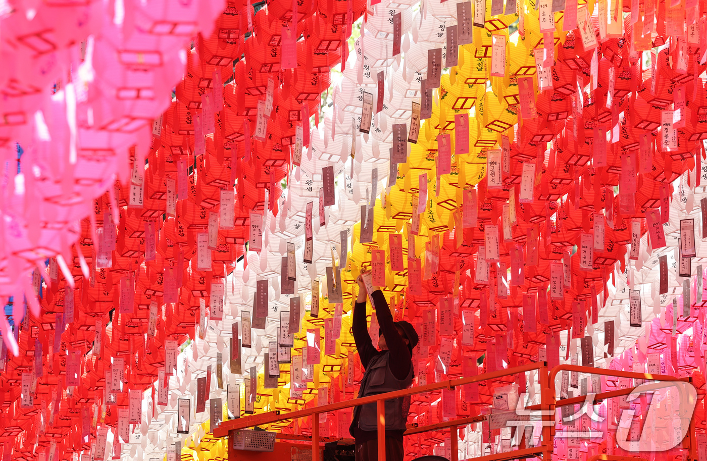 (서울=뉴스1) 임지훈 인턴기자 = 부처님 오신 날을 한달 앞둔 24일 서울 종로구 조계사에서 한 직원이 연등을 달고 있다. 2026.4.24/뉴스1