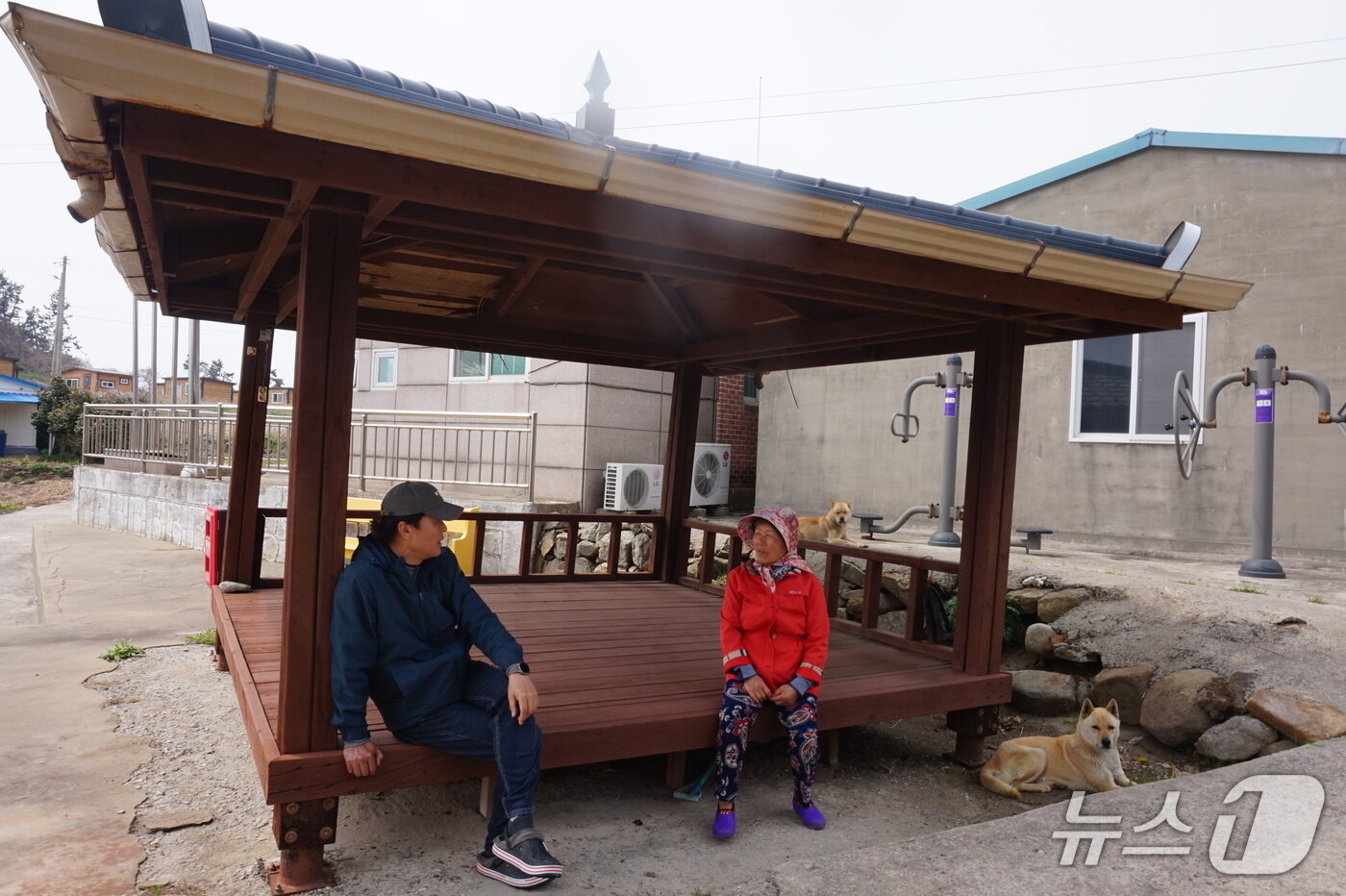 본문 이미지 - 저도 반장 임성자 씨(오른쪽)와 진도섬투어호 선장 장철호 씨가 마을 정자에서 담소를 나누고 있다. 2026.4.24. 뉴스1 ⓒ News1 조영석 기자 