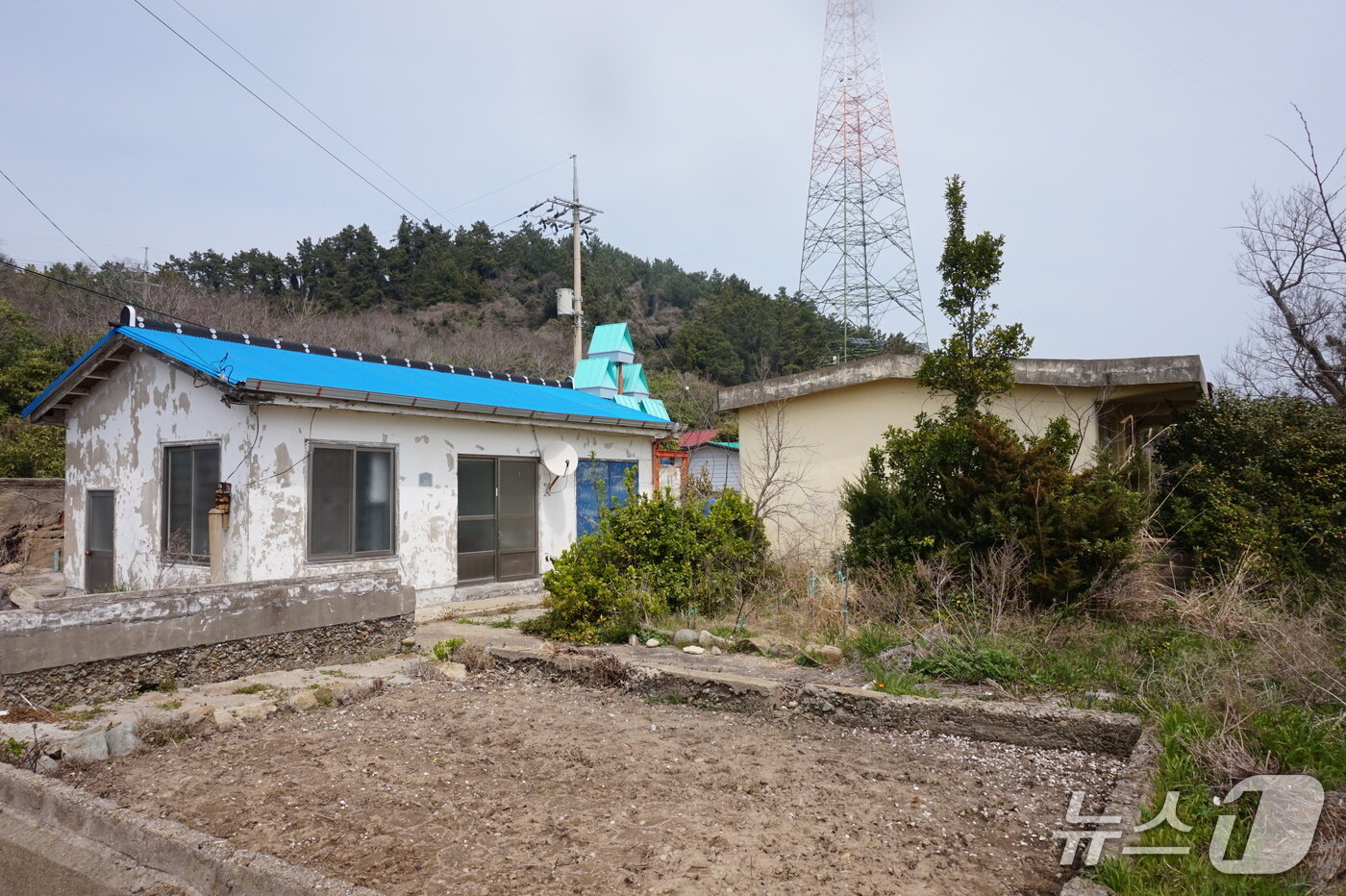 본문 이미지 - 폐교된 저도분교 교사(校舍)와 빈터. 2026.4.24. 뉴스1 ⓒ News1 조영석 기자 