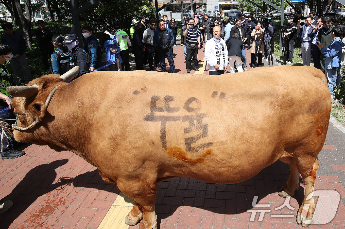 (대구=뉴스1) 공정식 기자 = 국민의힘 대구시장 후보 경선에서 공천 배제(컷오프)된 뒤 무소속 출마를 선언한 김한구 예비후보가 24일 오전 대구 수성구 범어네거리에서 출정식을 열 …
