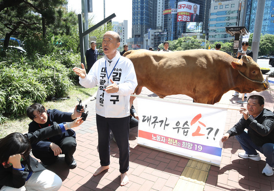 '6·3 지방선거' 싸움소와 함께 나타난 무소속 후보