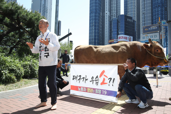 싸움소 데리고 등장한 김한구 "무소속 완주"
