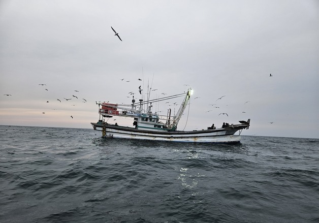 군산해경, 승선원 축소 신고한 뒤 출항해 조업한 어선 적발