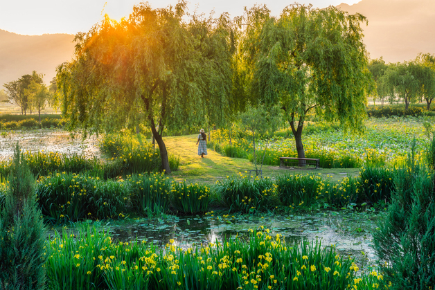 거창군, 5월 봄축제로 관광객 6만명 유치