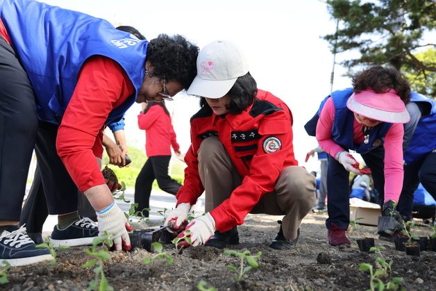 보은 보랏빛으로 물들다…민·관 함께 '생활권 테마화단' 조성