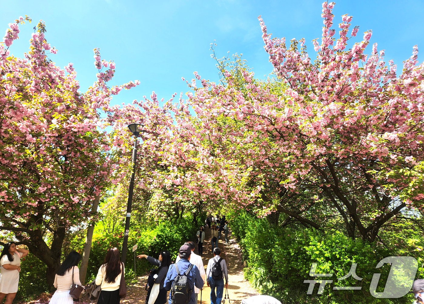 (전주=뉴스1) 임충식 기자 = 완연한 봄 날씨를 보인 24일 전북 전주시 완산공원 꽃동산에 상춘객들의 발길이 이어지고 있다. 2026.4.24/뉴스1