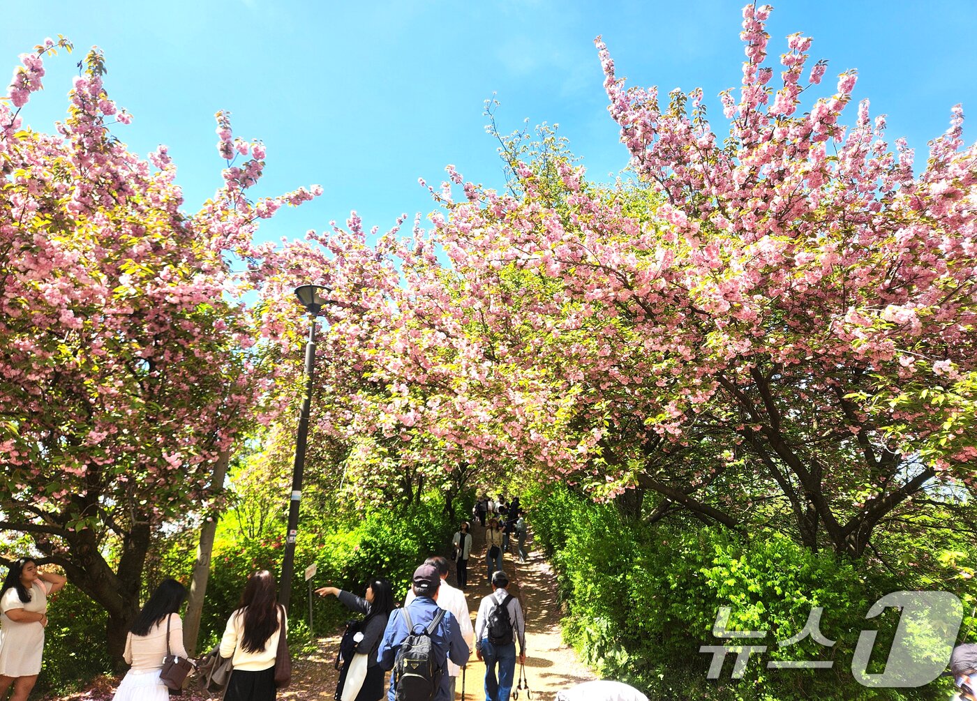 본문 이미지 - 완연한 봄 날씨를 보인 24일 전북 전주시 완산공원 꽃동산에 상춘객들의 발길이 이어지고 있다. 2026.4.24 ⓒ 뉴스1 임충식 기자