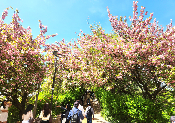 [오늘의 날씨]울산(28일, 화)…흐리고 강풍, 낮 최고 23도