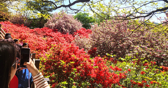 [오늘의 날씨]전북(25일, 토)…대체로 맑고, 새벽~아침 안개
