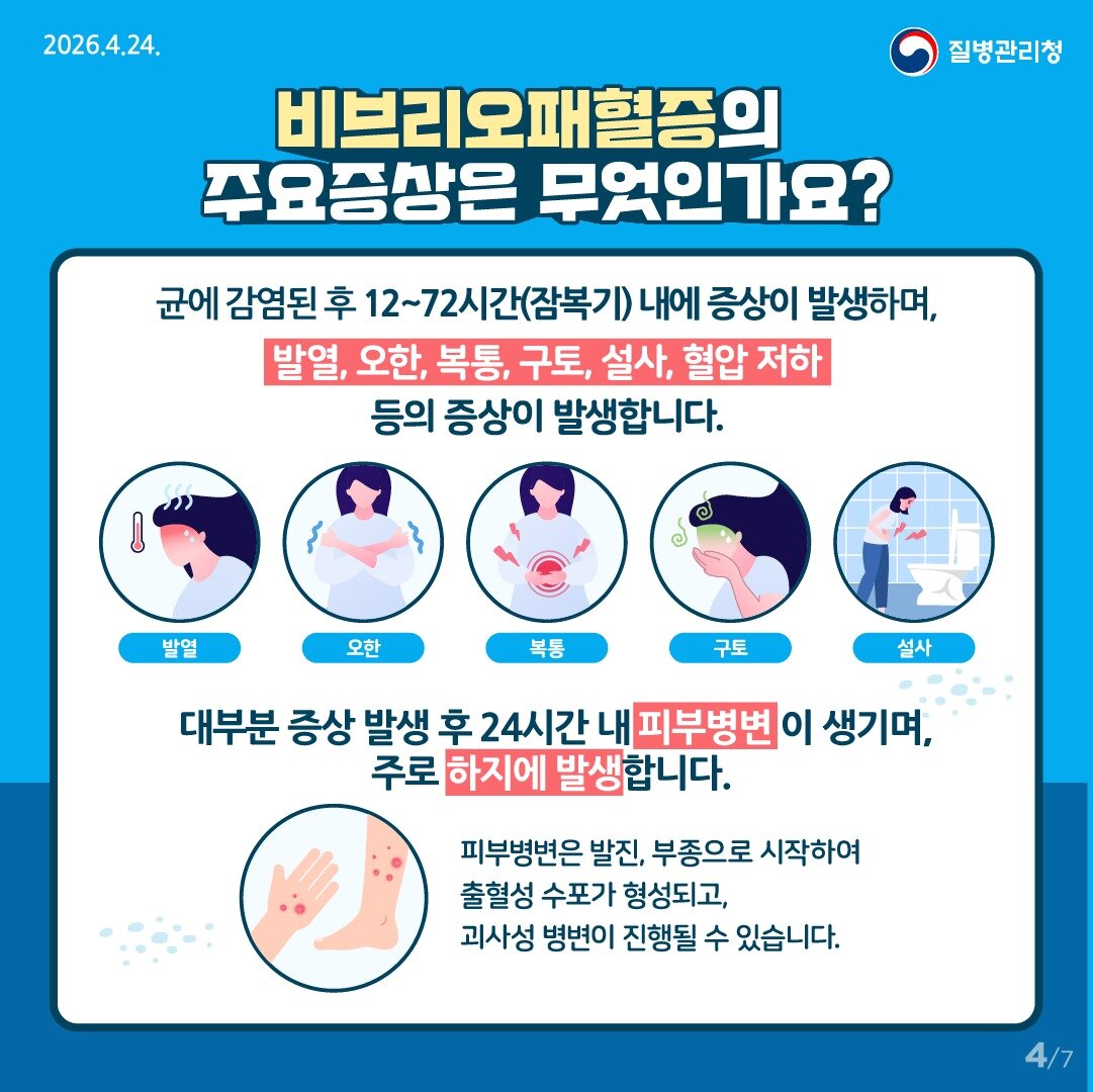 본문 이미지 - 비브리오패혈증 증상 (질병청 제공)