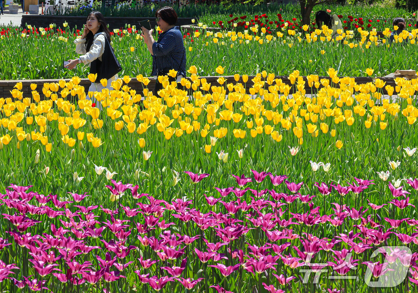 (고양=뉴스1) 이호윤 기자 = 24일 경기도 고양시 일산호수공원에서 열린 '제18회 고양국제꽃박람회'를 찾은 관람객들이 꽃구경을 하고 있다.이번 박람회는 '꽃, 시간을 물들이다' …