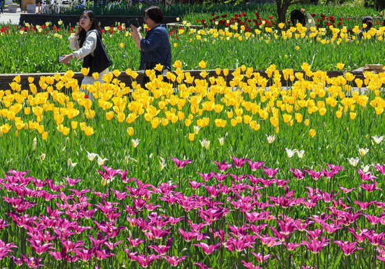 "화창한 봄날 꽃보러 가자"…전국 축제장 나들이객 북적(종합)