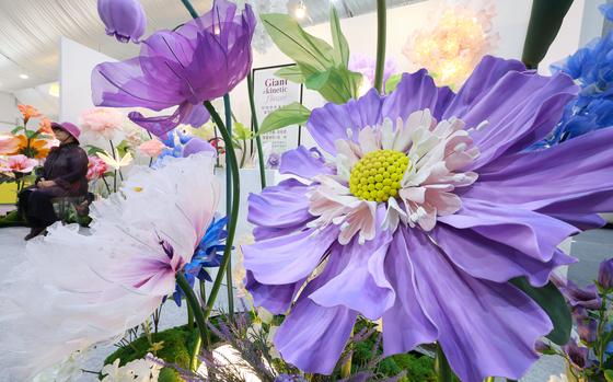 실내에서도 활짝 핀 자이언트꽃