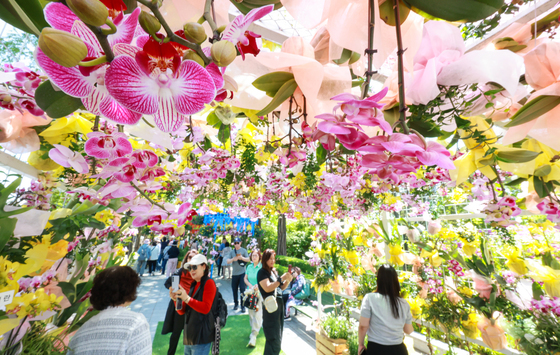 향기나는 꽃들로 만들어진 '꽃 터널'