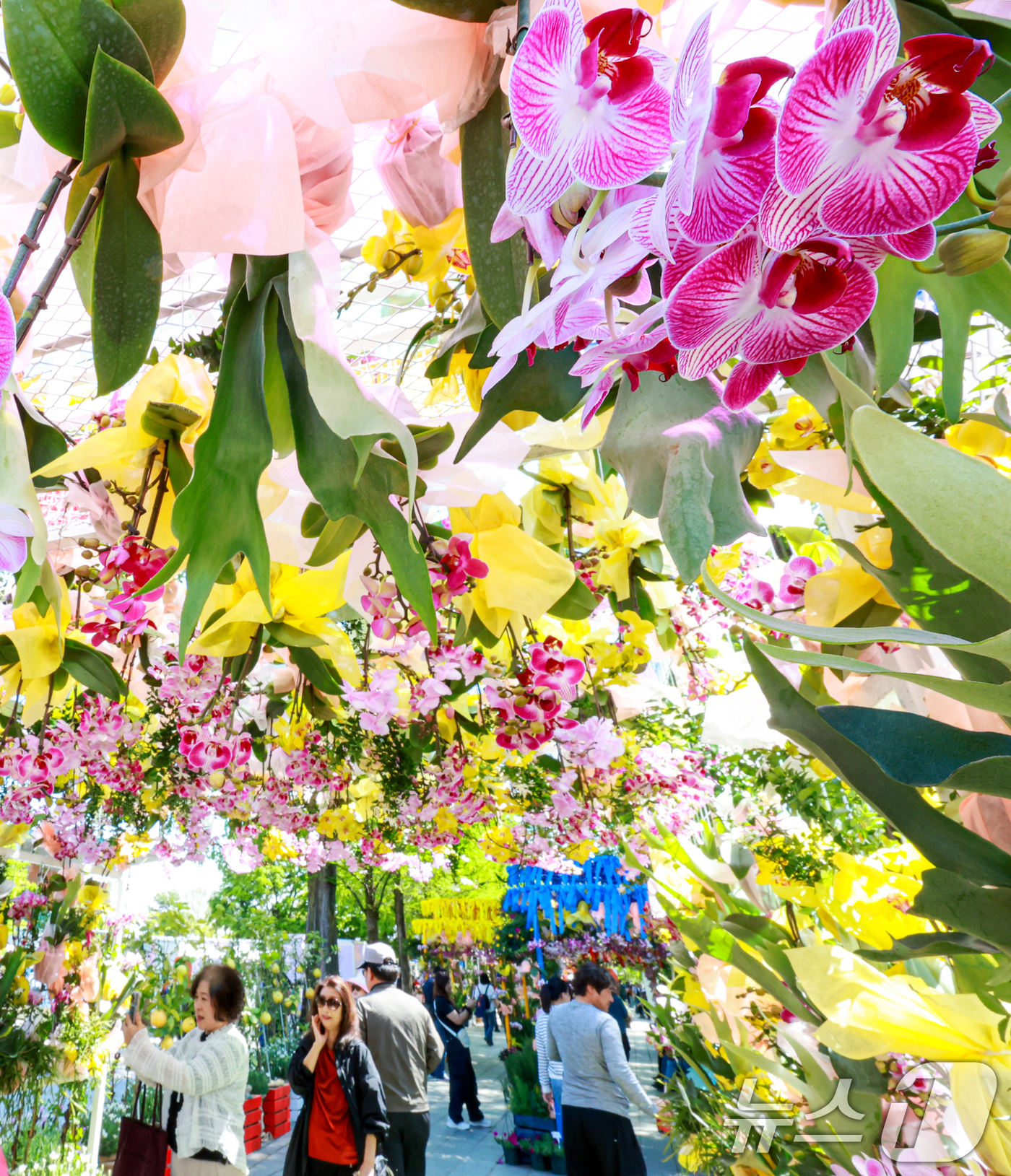 (고양=뉴스1) 이호윤 기자 = 24일 경기도 고양시 일산호수공원에서 열린 '제18회 고양국제꽃박람회'를 찾은 관람객들이 꽃구경을 하고 있다.이번 박람회는 '꽃, 시간을 물들이다' …