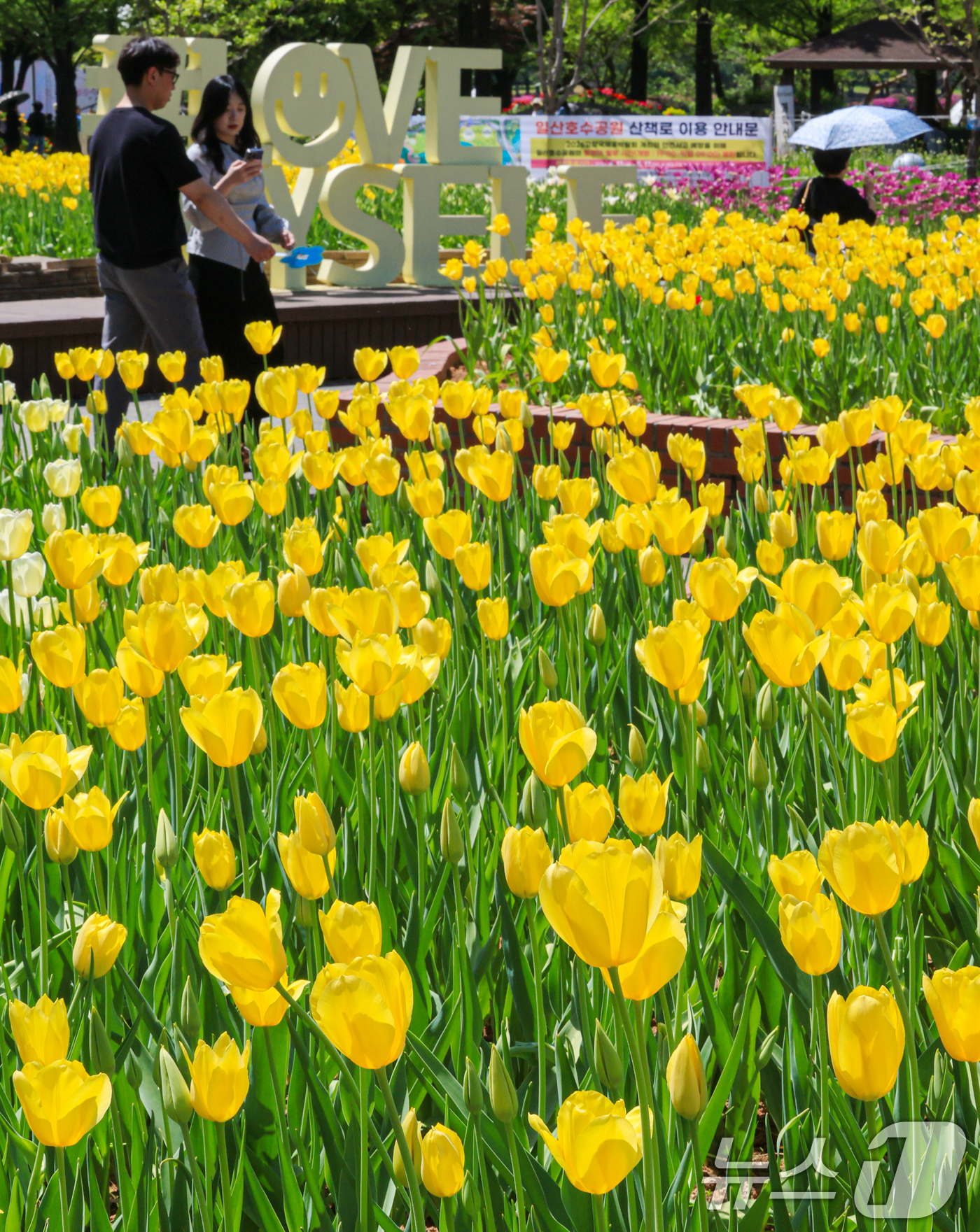 (고양=뉴스1) 이호윤 기자 = 24일 경기도 고양시 일산호수공원에서 열린 '제18회 고양국제꽃박람회'를 찾은 관람객들이 꽃구경을 하고 있다.이번 박람회는 '꽃, 시간을 물들이다' …