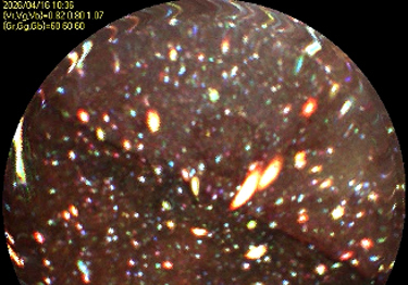 후쿠시마 제1원전 2호기 내부 첫 조사…"핵연료 잔해 상당한 듯"