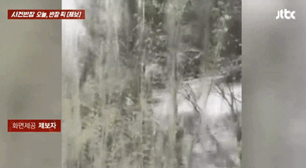 본문 이미지 - (JTBC '사건반장' 갈무리)