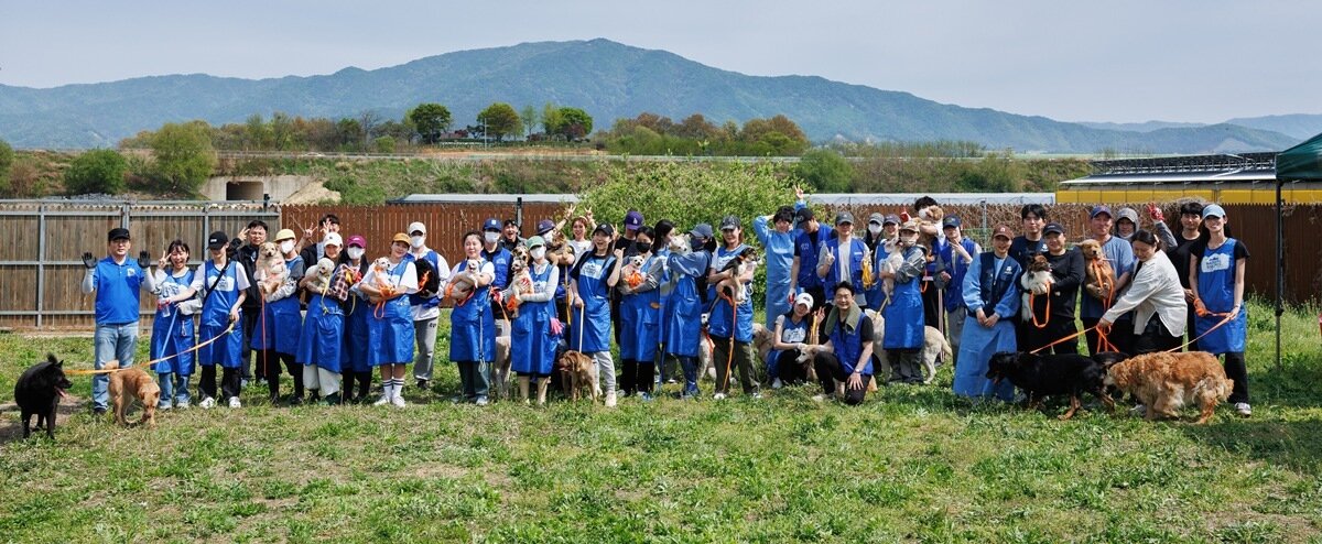본문 이미지 - 블루엔젤봉사단이 경기 안성 안셩평강공주보호소에서 봉사를 마치고 기념 사진을 찍고 있다(블루엔젤봉사단 제공). ⓒ 뉴스1