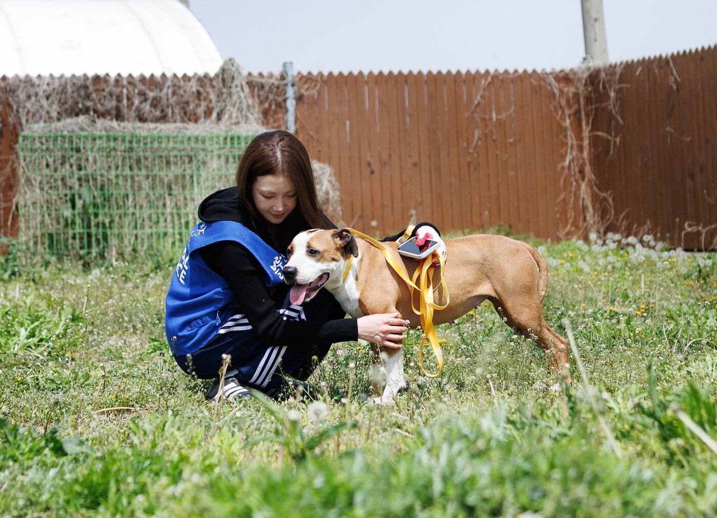 본문 이미지 - 가수 주이가 안성평강공주보호소 보호견 '불리'와 산책 중 기념 사진을 찍고 있다(블루엔젤봉사단 제공). ⓒ 뉴스1