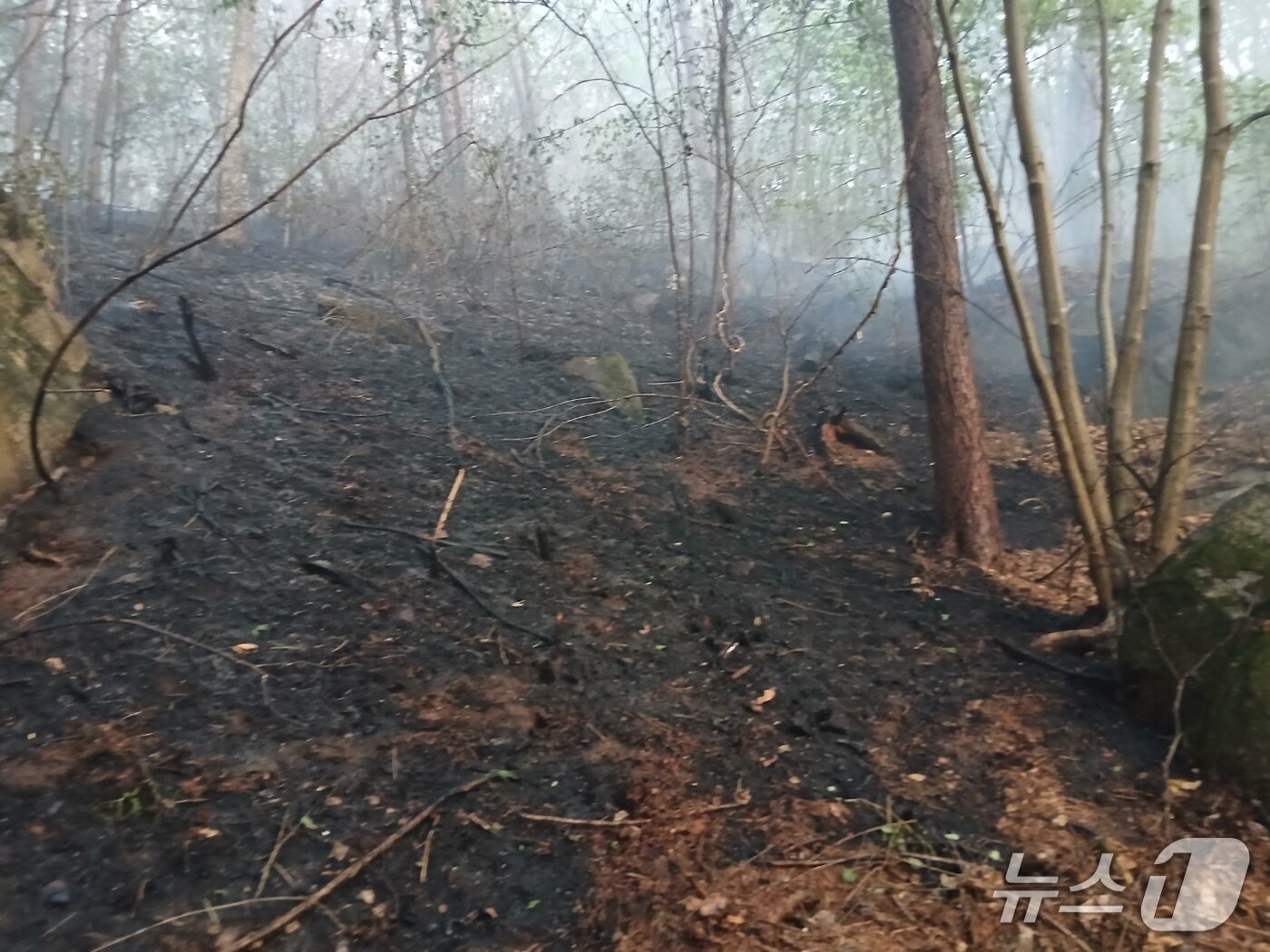 본문 이미지 - 충주시 산척면 명서리의 한 야산에서 발생한 불.(충주소방서 제공. 재판매 및 DB금지) 