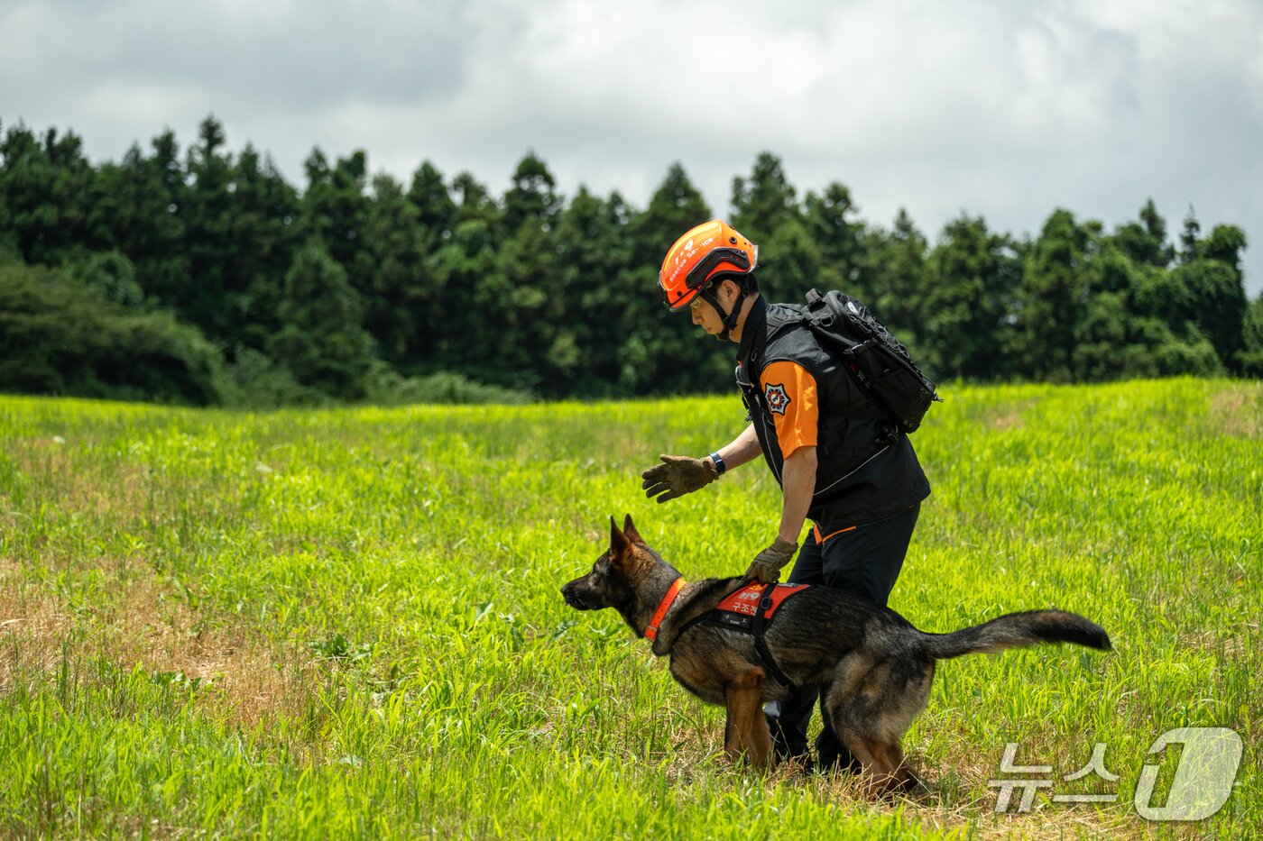 본문 이미지 - 구조견 강호와 고상혁 소방교(제주소방본부 제공. 재판매 및 DB금지)/뉴스1