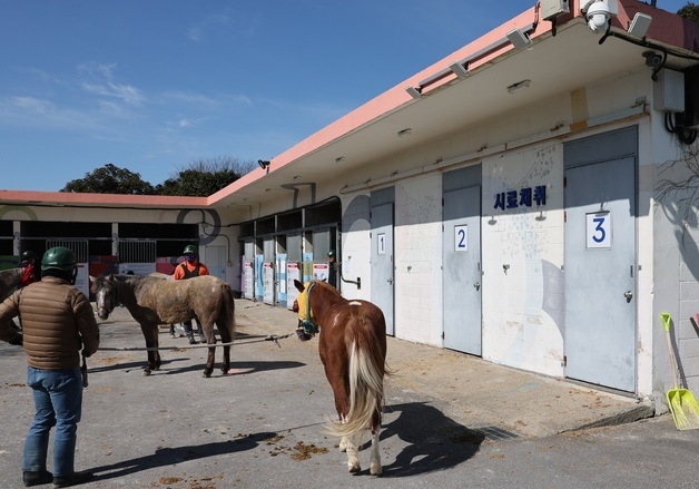 금지약물 논란 마사회 제주본부 "경주 전 약물검사 의무화"