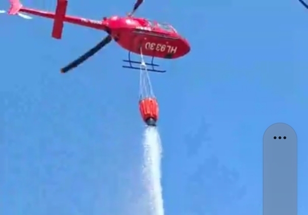 '담배꽁초 발화' 전남 화순 화학산 화재…임야 0.04㏊ 소실
