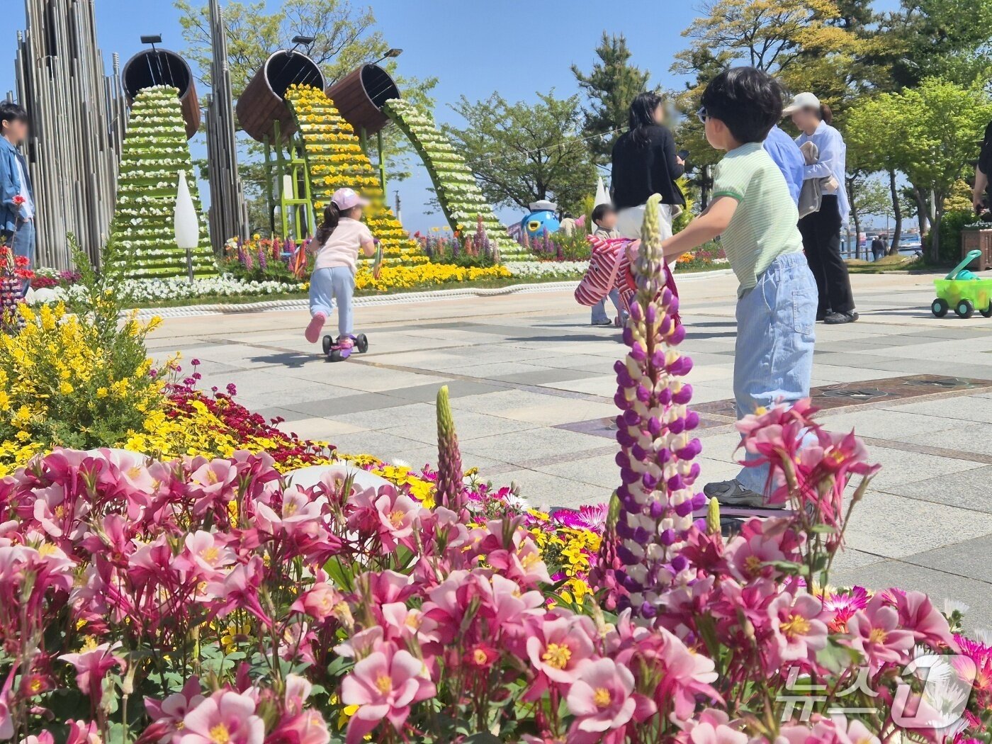 본문 이미지 - 토요일인 25일 강원 속초시 청초호를 찾은 가족단위 나들이객이 광장에 만개한 튤립을 배경으로 즐거운 시간을 보내고 있다. 2026.4.25/뉴스1 윤왕근 기자