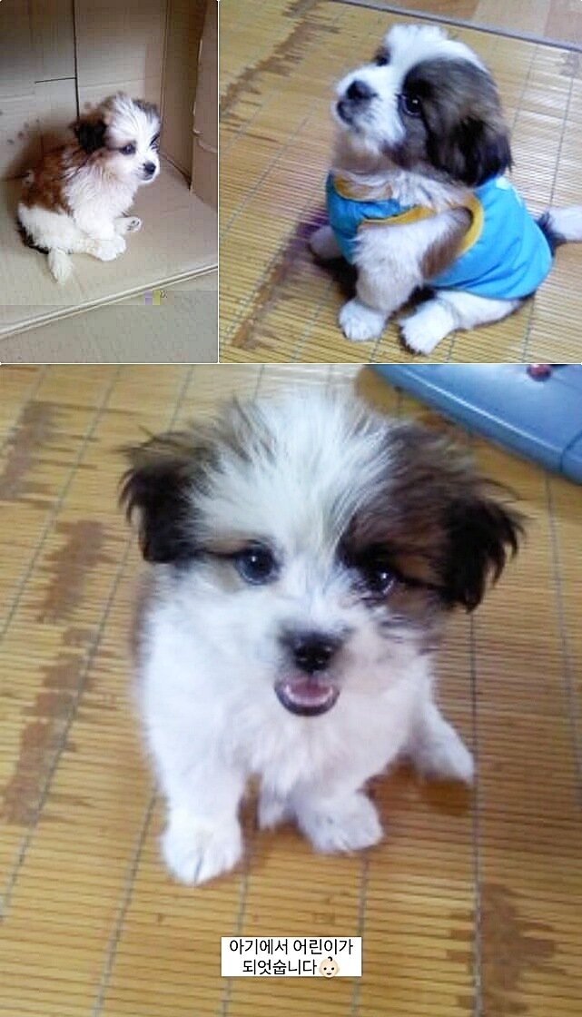 본문 이미지 - 어린 시절의 봄이(인스타그램 ohmy_bom 제공). ⓒ 뉴스1