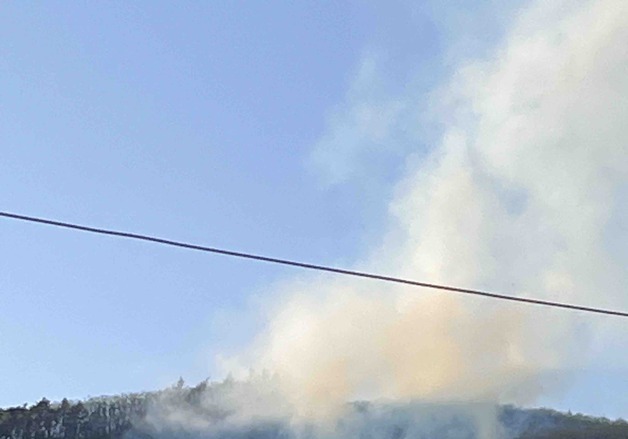 삼척 산불 1시간 27분 만에 진화…일몰 전 주불 잡아(종합)