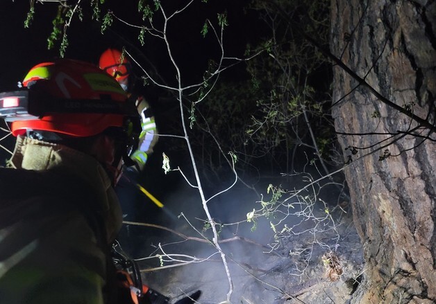 봉화 입산자 실화 추정 산불…1시간여 만에 주불 진화