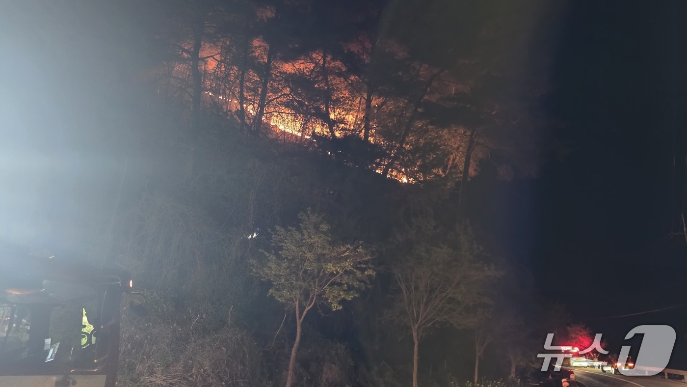 (영월=뉴스1) = 25일 밤 강원 영월군 무릉도원면 야산에 산불이 발생해 불길이 번지고 있다.(강원도 산불방지센터 제공, 재판매 및 DB 금지) 2026.4.25/뉴스1