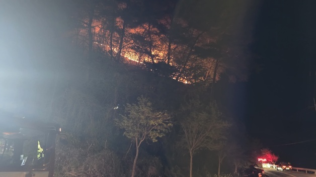 영월 무릉도원면서 야간 산불…일몰로 헬기 못 떠 지상 진화 중