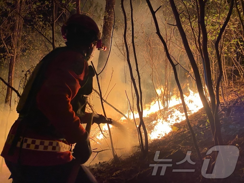 (영월=뉴스1) 윤왕근 기자 = 25일 밤 강원 영월군 무릉도원면 법흥리에서 발생한 야간 산불 현장에서 진화대원이 불길을 잡고 있다.(강원도 산불방지센터 제공, 재판매 및 DB 금 …
