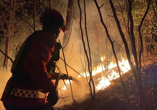 "일몰로 헬기 못 떠"…영월 야간 산불 진화대원 화마와 '사투'(상보)